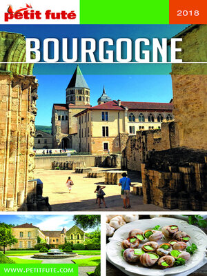 cover image of BOURGOGNE 2018/2019 Petit Futé